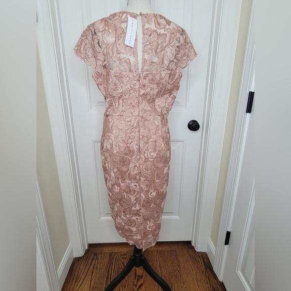 Baltic Born - Soieblu Elegant Lace Dress in Pink - Picture 5 of 10